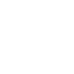 Portugal Telecom